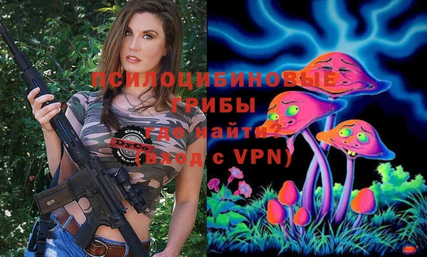 круглые Алексеевка